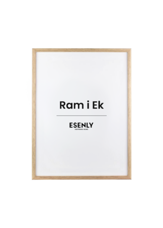Ram Ek