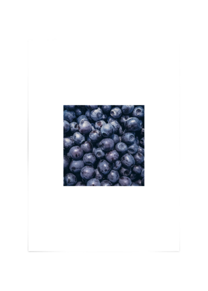 Blueberry Poster