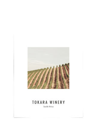 Tokara Winery Poster Esenly