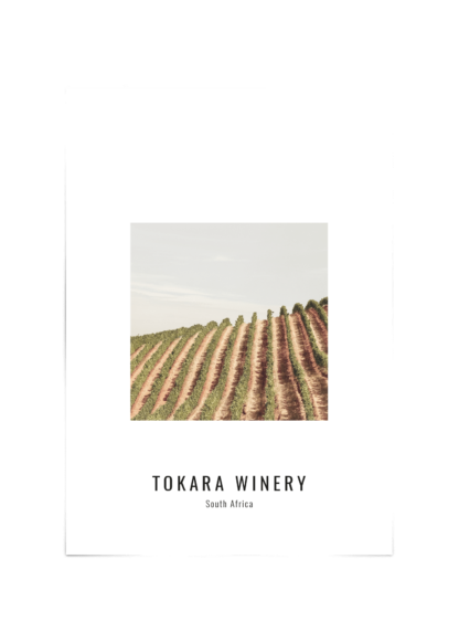 Tokara Winery Poster Esenly