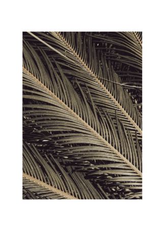 Palm leaf Poster Esenly