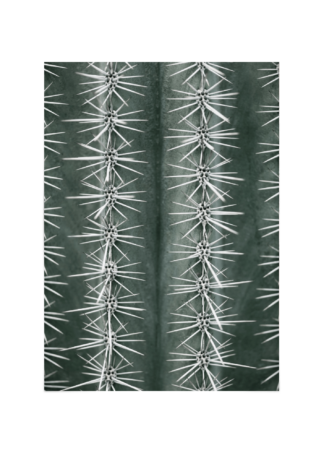 Cactus green Poster ESENLY