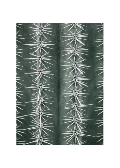 Cactus green Poster ESENLY